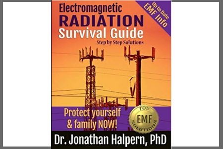 Electromagnetic Radiation Survival Guide: Step by Step Solutions (book review)